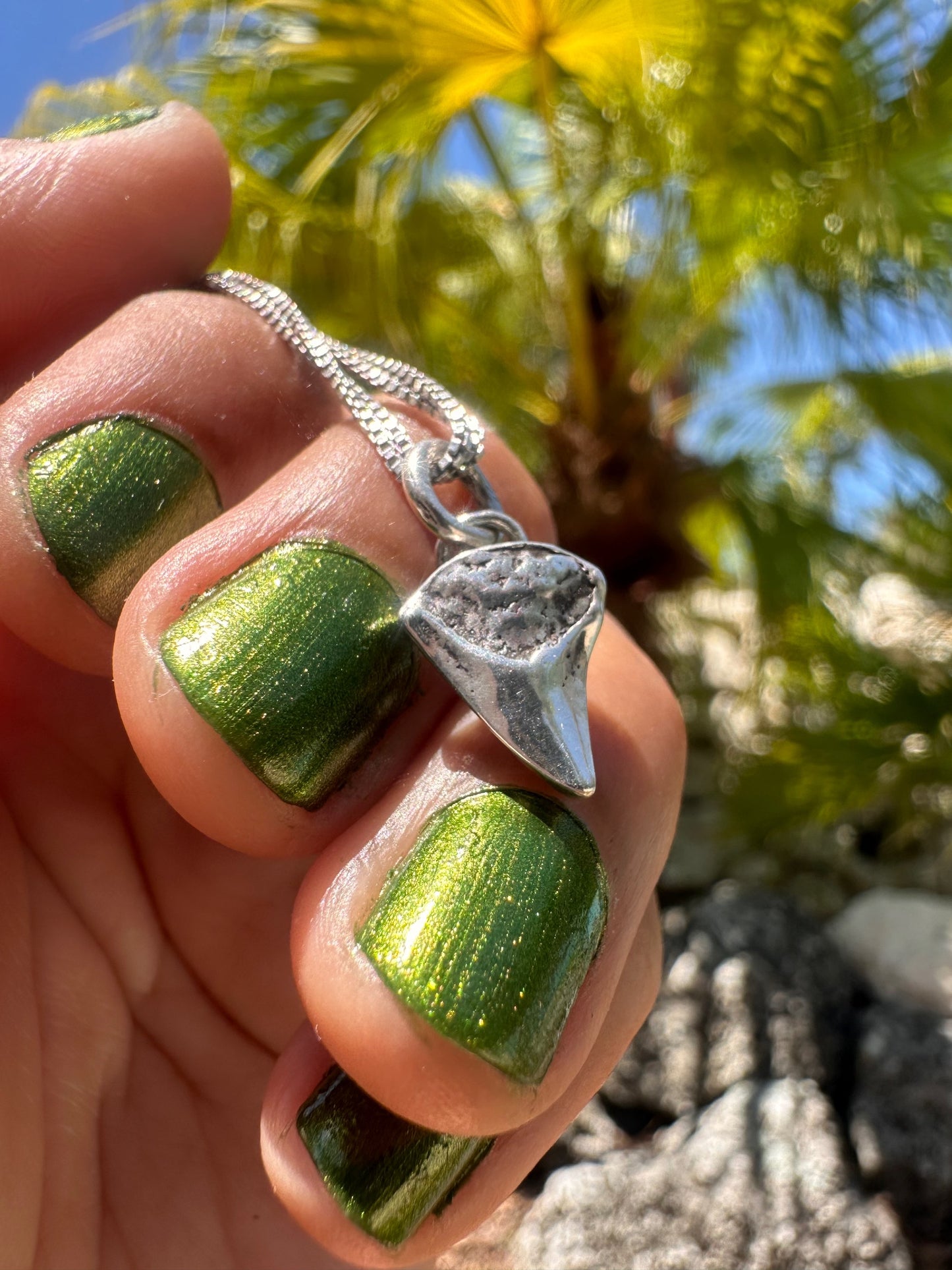 Sterling Silver Shark Tooth Charm - Style 3