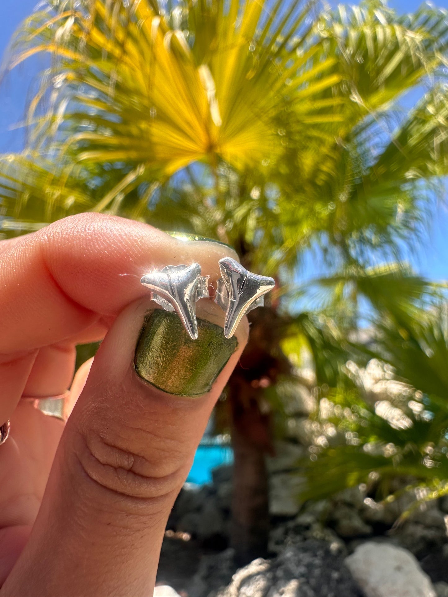 Shark Tooth Stud Earrings