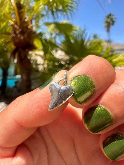 ❋STERLING SHARK TOOTH II❋