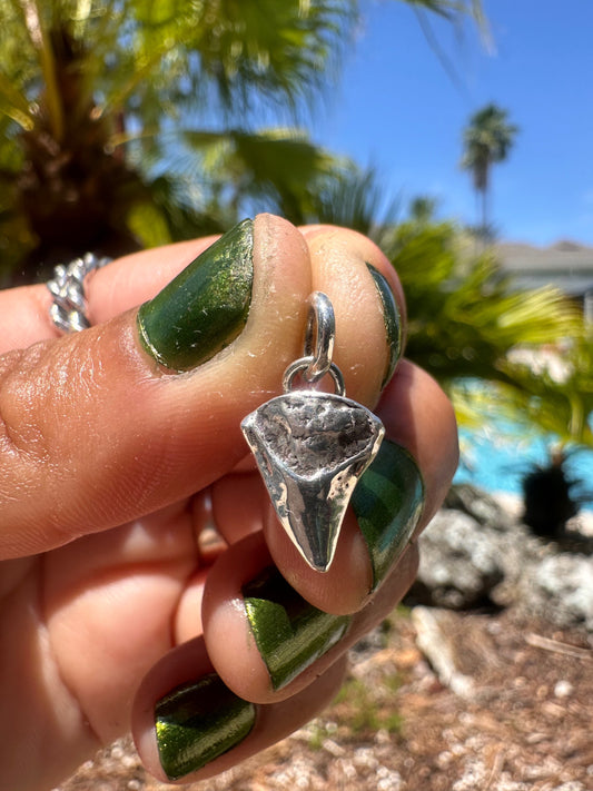 Sterling Silver Shark Tooth Charm - Style 3