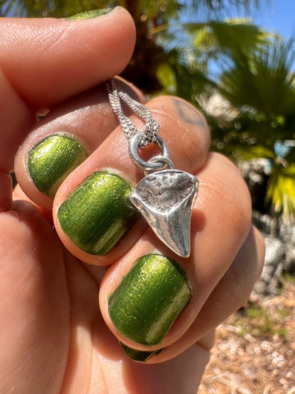 ❋STERLING SHARK TOOTH I❋