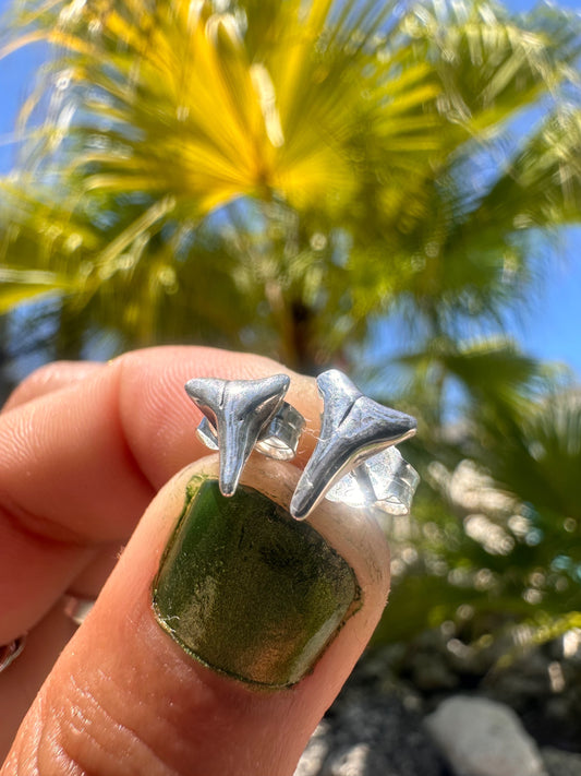 Shark Tooth Stud Earrings